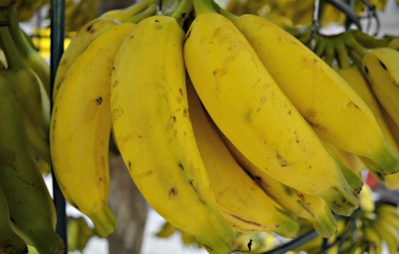 Banana: fruta gera energia para o treino e tem vitaminas e carboidratos