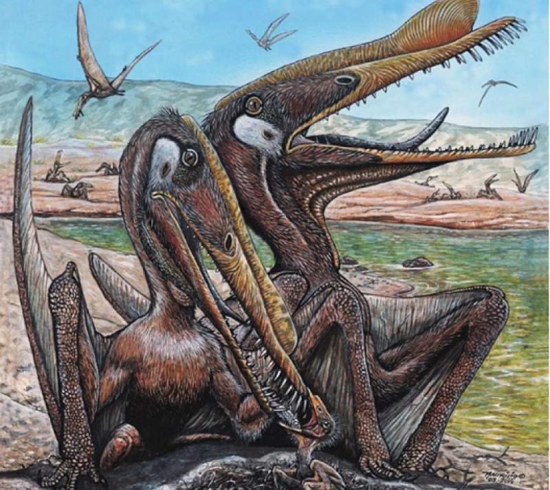 Caça de ovos de pterossauro em cidade do interior do Paraná