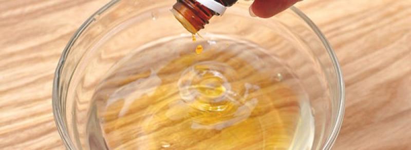 Como eliminar os cupins naturalmente