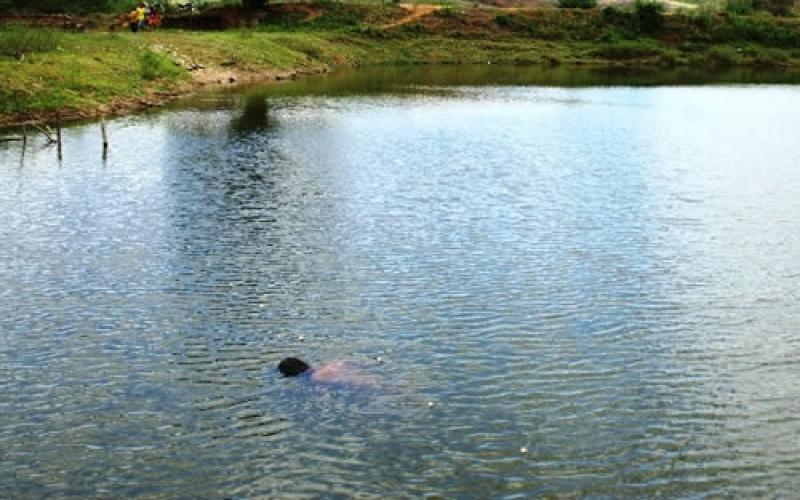 Norte Pioneiro: homem mergulha em lago e morre afogado