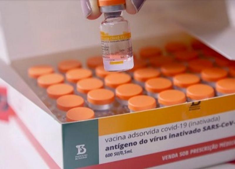 Nova carga de matéria-prima para Coronavac chega ao Brasil