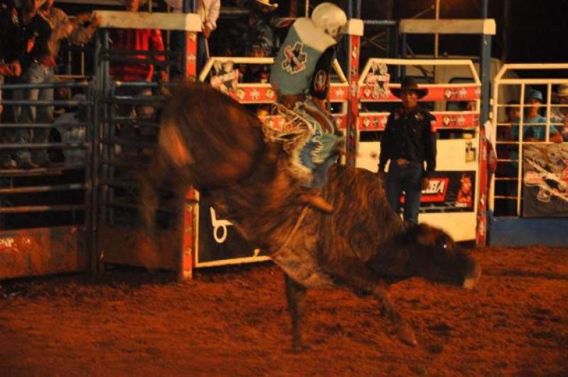 Efapi fatura R$ 2,5 milhões