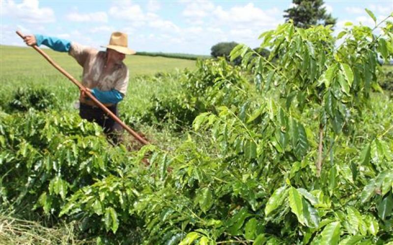 Cadastro de imóveis rurais vai até 5 de maio