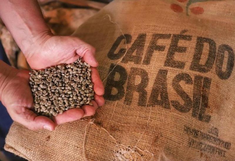 Exportações de café do Paraná têm melhor 1º semestre dos últimos 12 anos em receita
