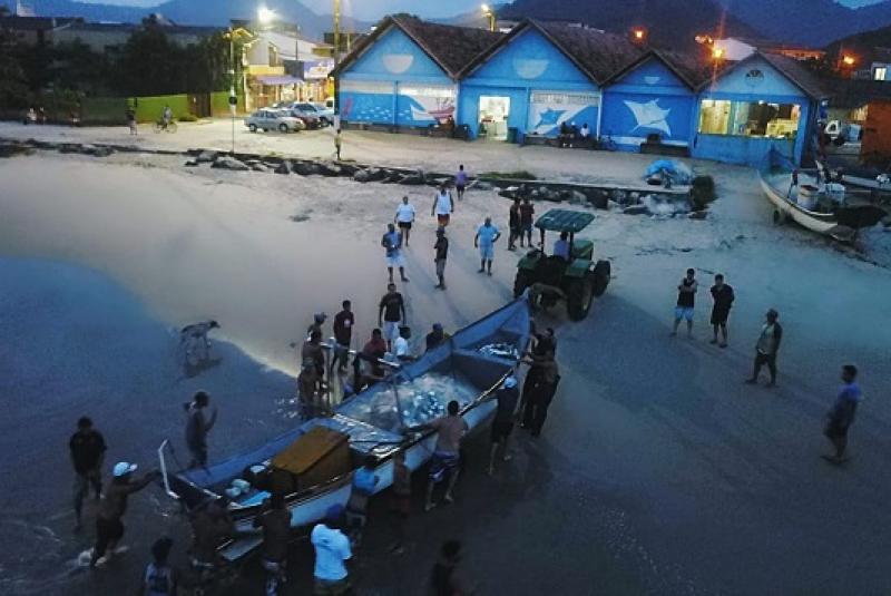 Pescadores de Matinhos saem do mar com mais de uma tonelada de pescada-branca