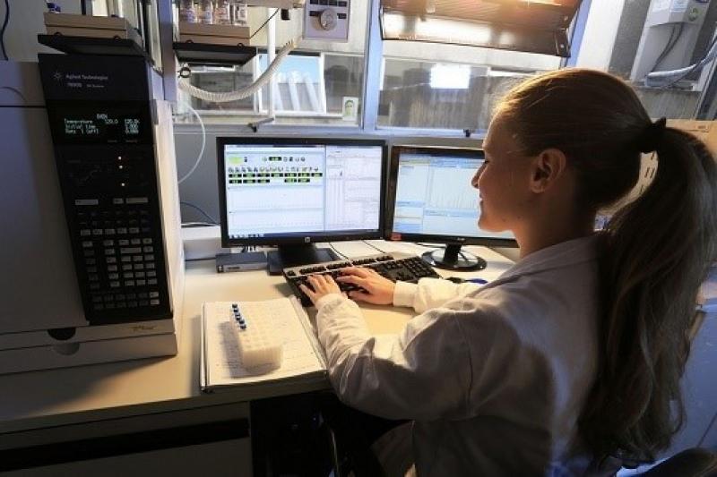 Mulheres triplicaram presença no mercado do Paraná em 30 anos