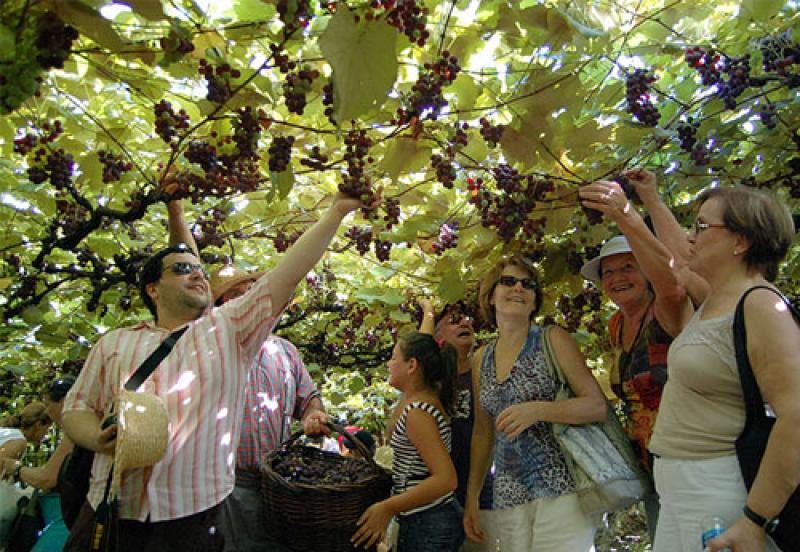 Conheça 10 cidades brasileiras que fazem você se sentir em outro país