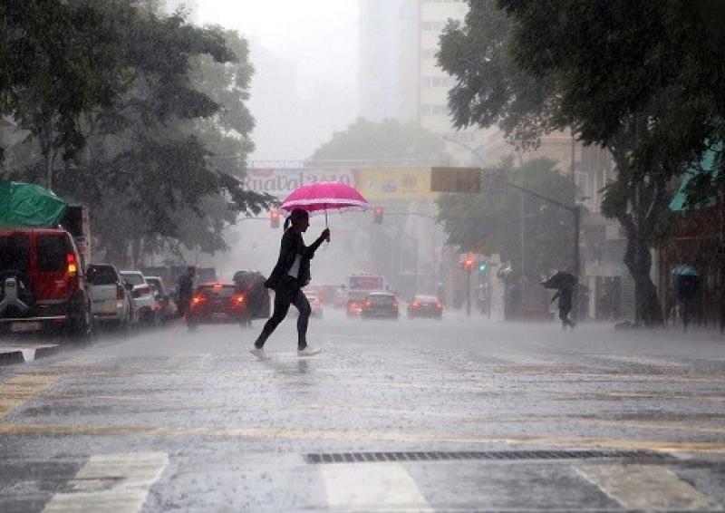 Risco de leptospirose cresce nos períodos de chuvas intensas