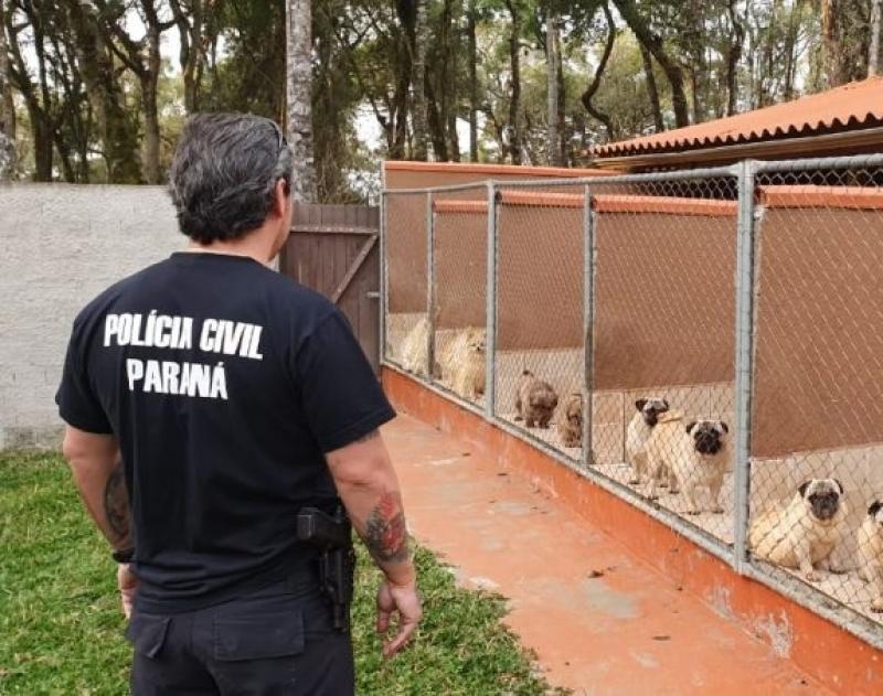 Rede de pet shops envolvida em golpes e maus tratos é alvo de operação da polícia