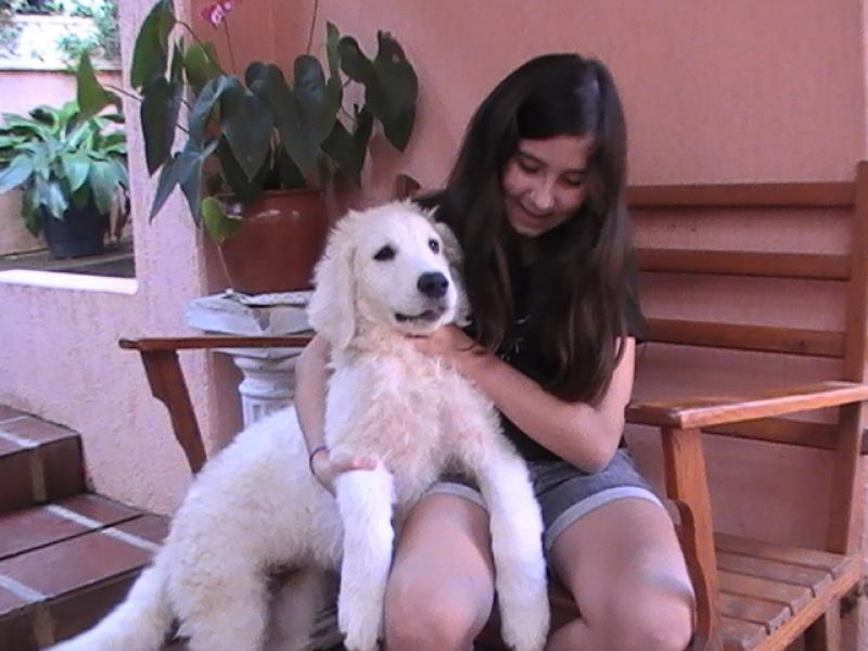 Família de Quatiguá se mobiliza e encontra a cadela Luna