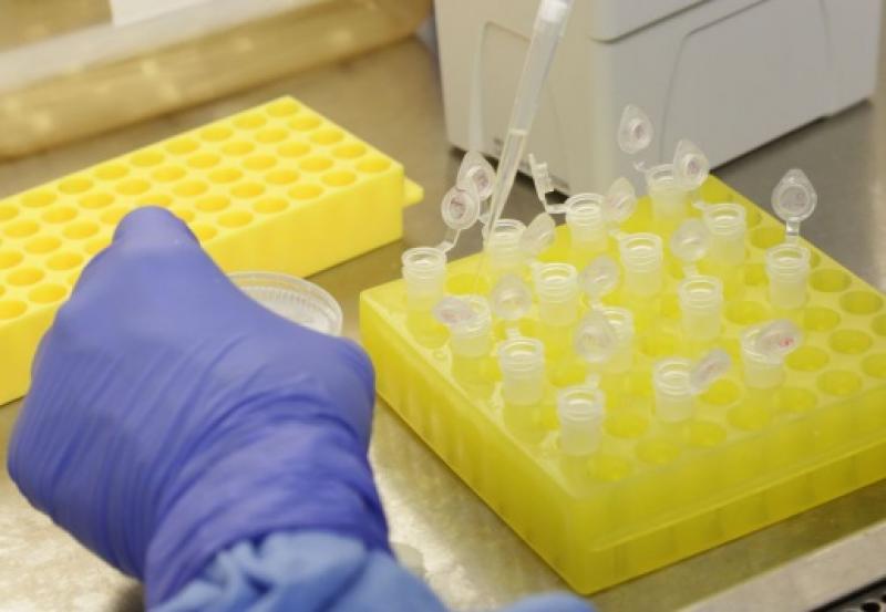 Navio, de bandeira chinesa, com dois casos suspeitos do novo coronavírus atracará em Santos