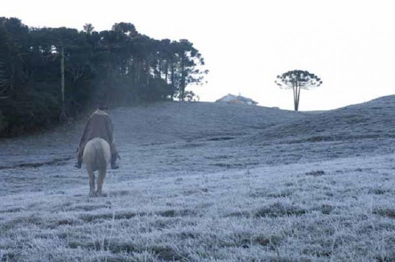 Semana começa com previsão de geada negra e neve no Paraná, alerta Somar