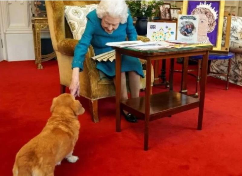 Elizabeth 2ª: quem vai ficar com os cachorros corgi da rainha