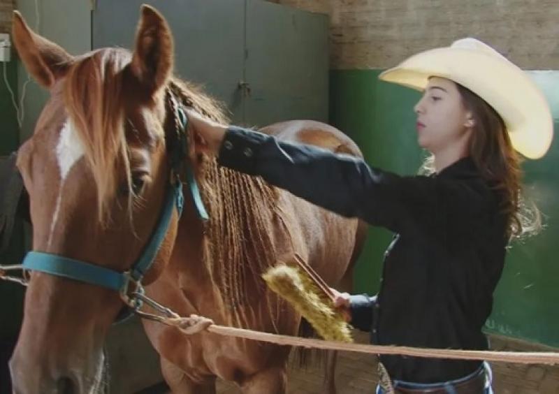 Paranaense de 17 anos representa o Brasil em prova internacional de hipismo