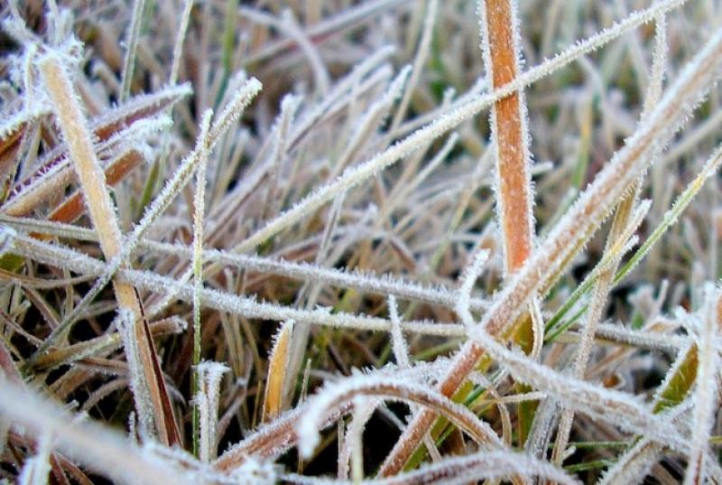 Após chuvas, Norte Pioneiro poderá ter geada na semana