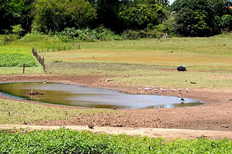 Chuva ameniza, mas efeitos da estiagem ainda preocupam