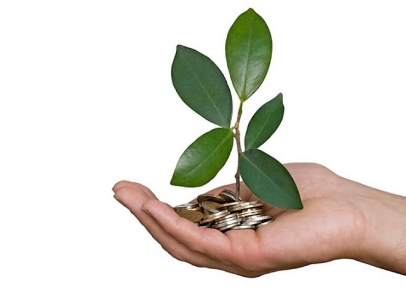 Municípios têm até 15 de março para pedir recursos do ICMS Ecológico