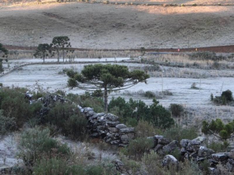 Frio em Santa Catarina tem flocos de neve e sensação térmica de -22° C