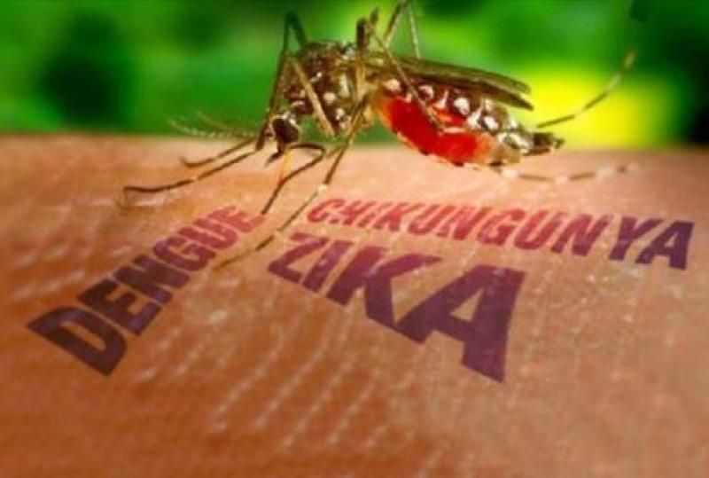 Mais de 1,1 mil cidades estão em alerta para dengue, zika e chikungunya