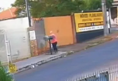 11 Filhotes de cachorros jogados em lixeira morrem e mulher será investigada