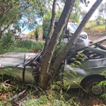 Motorista fica ferido após sair da pista e bater em árvore na PR-092, em Siqueira Campos