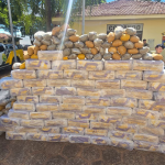 PMPR apreende mais de 1 tonelada de maconha