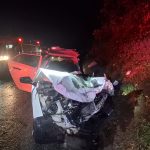 Colisão frontal na pr-092 em Santo Antônio da Platina deixa duas pessoas feridas