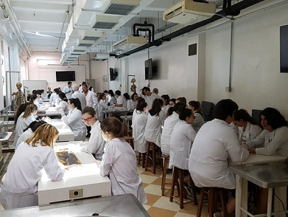 MEC divulga lista de faculdades de medicina punidas no Enamed; veja