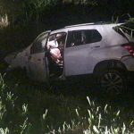 Boi solto na pista causa mais um acidente na PR092