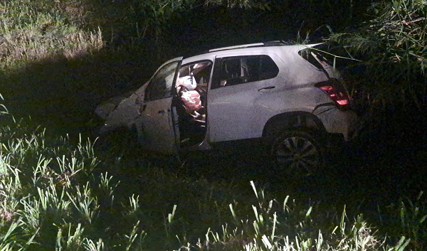 Boi solto na pista causa mais um acidente na PR092