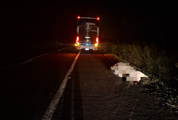 Ônibus se envolve em atropelamento de animal  em Santo Antônio da Platina
