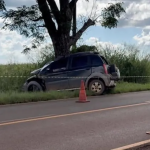 Motorista morre em acidente com árvore entre Ribeirão do Pinhal e Abatiá