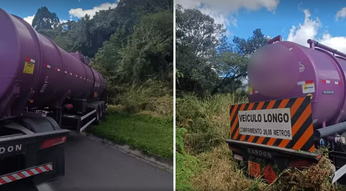 Caminhoneiro é atacado por abelhas, passa mal e sofre acidente