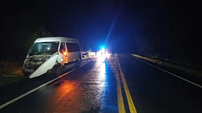 Van da Saúde de Bandeirantes bate em búfalos na BR-153 e deixa seis feridos