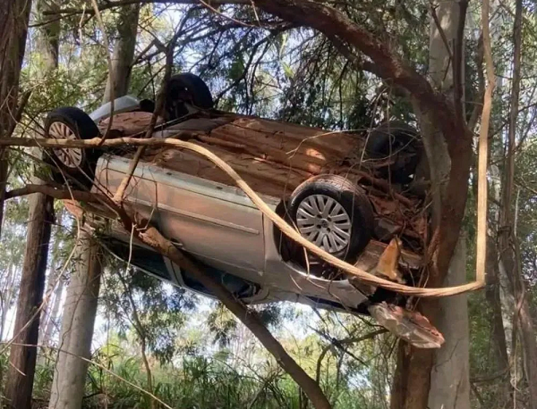 Carro fica pendurado em árvore após sair da pista