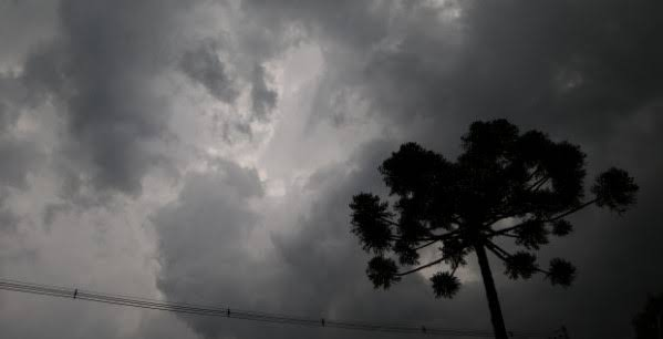 Norte Pioneiro entra em alerta para temporais nesta segunda e terça-feira; chuva forte, ventos e granizo são esperados