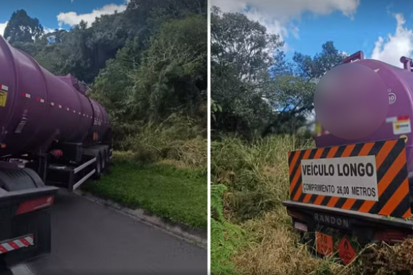 Caminhoneiro é atacado por abelhas, passa mal e sofre acidente