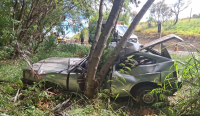 Motorista fica ferido após sair da pista e bater em árvore na PR-092, em Siqueira Campos