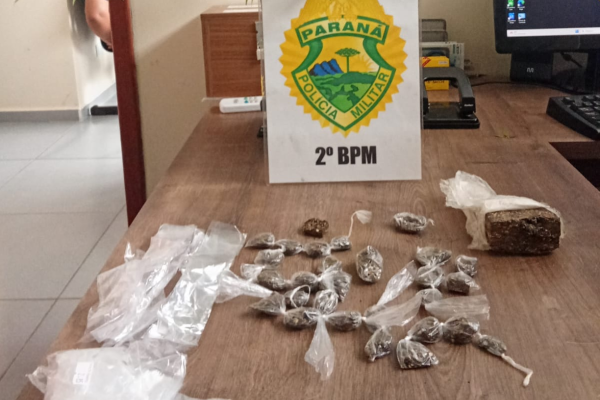 Polícia Militar apreende drogas e pés de maconha após denúncia no Centro de Joaquim Távora