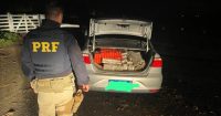 PM prende motorista que havia fugido ao ser flagrado pela PRF com mais de 200 kg de maconha 
