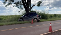Motorista morre em acidente com árvore entre Ribeirão do Pinhal e Abatiá