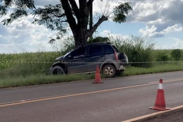 Motorista morre em acidente com árvore entre Ribeirão do Pinhal e Abatiá