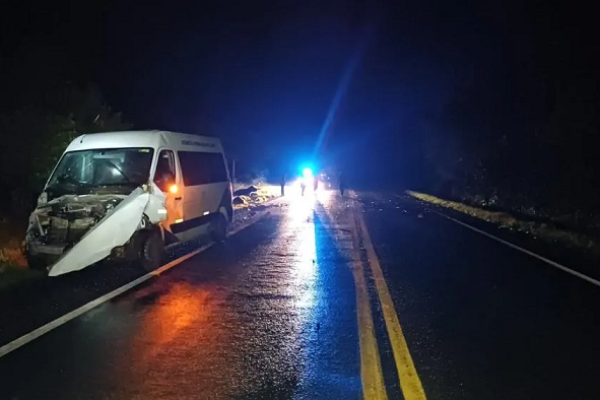 Van da Saúde de Bandeirantes bate em búfalos na BR-153 e deixa seis feridos